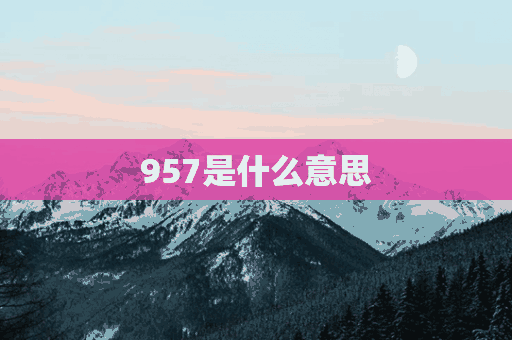 957是什么意思(957是什么意思爱情暗语)